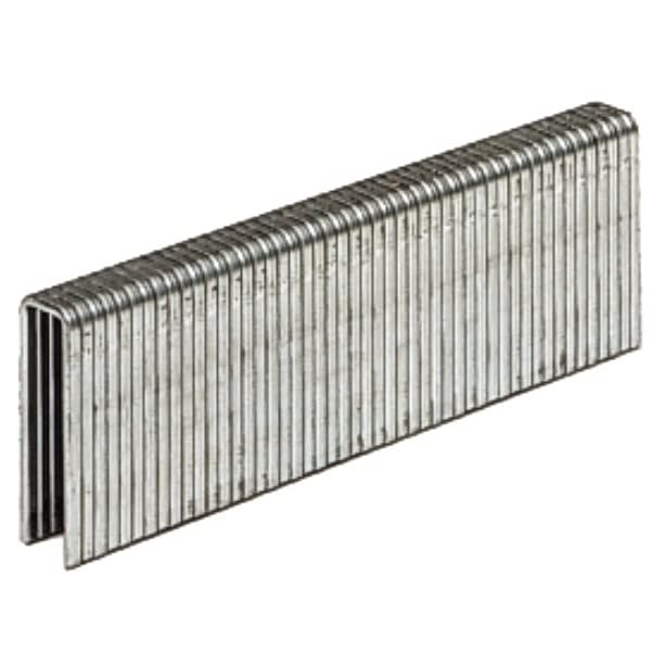 Agrafes 4x26 mm inox par 2000 grand format (1 / 1)