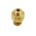 Injecteur 119 four gaz naturel (1 / 1)