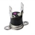 Thermostat fumee (1 / 1)