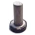 Rivet (1 / 1)