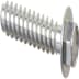 Vis 10007126 origine (1 / 1)