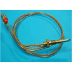 Thermocouple 450mm (1 / 1)