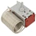 Thermostat 077b0356 (1 / 1)