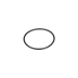 Joint torique 3600210012 (1 / 1)