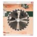 Lame scie circulaire 190x30/24 24 dents (1 / 1)