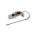 Module thermostat 1800w + sonde 7604677 (1 / 1)