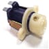 Bobine electrovanne 00051834 (1 / 1)