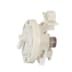 Pressostat ebf63534907, ebf63534901 (1 / 1)
