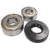 Kit roulement+joint 00181927 (1 / 1)