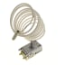 Thermostat k50l3402 (1 / 2)