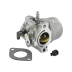Carburateur 799728, 694941, 699831 (1 / 1)