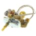 Robinet thermostatique four (1 / 2)