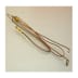 Thermocouple (1 / 1)