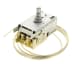 Thermostat k59l2541 (1 / 1)