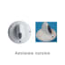 Bouton blanc four, 450910159 (3 / 3)