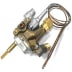Robinet thermostatique (1 / 1)