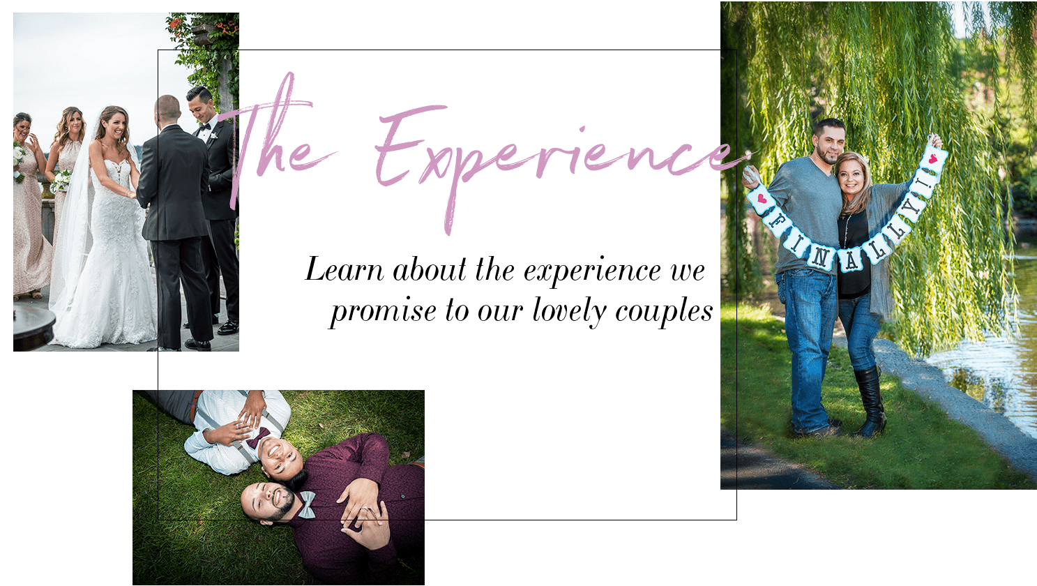 Our Client Experience We Promise