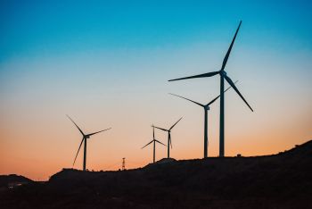 Sustainability Studies: wind generators on a hillside at dusk