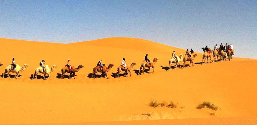 Group of students riding camels in the desert