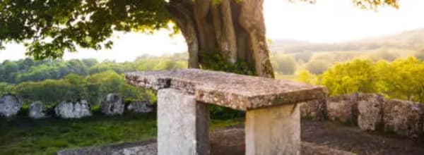 Beyond Supernatural: The Physical Vision of Christianity