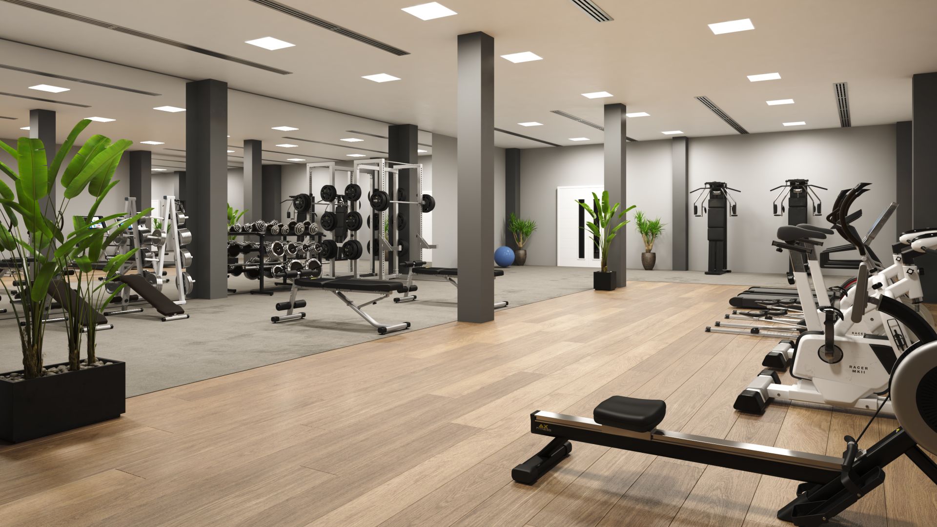 The House of Christianzens