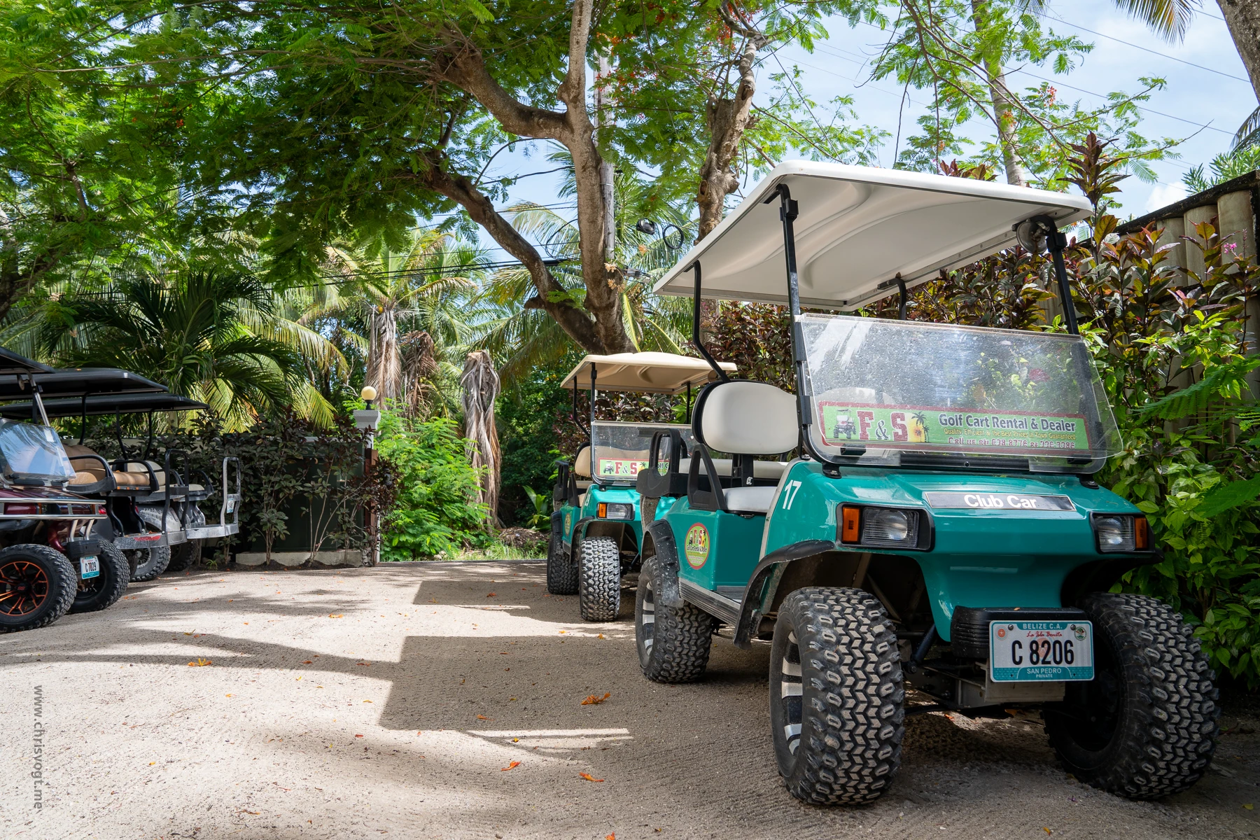 The golf cart I rented from F & S Golf Carts and drove all over Ambergris Caye