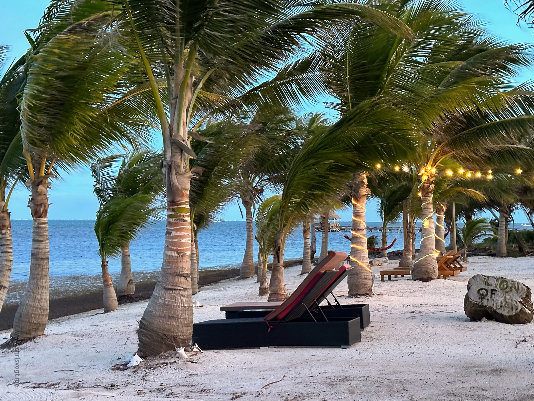 Lounge chairs, swings, and palm trees line the beach at Island Wonder Belize in San Pedro