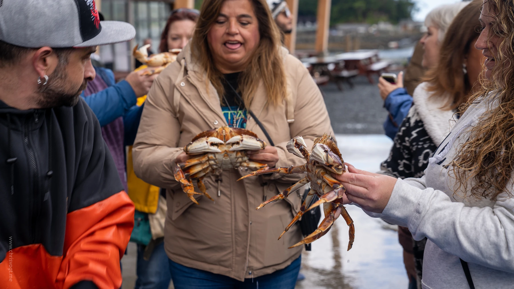 A fresh crab being showed off at the port in Sitka