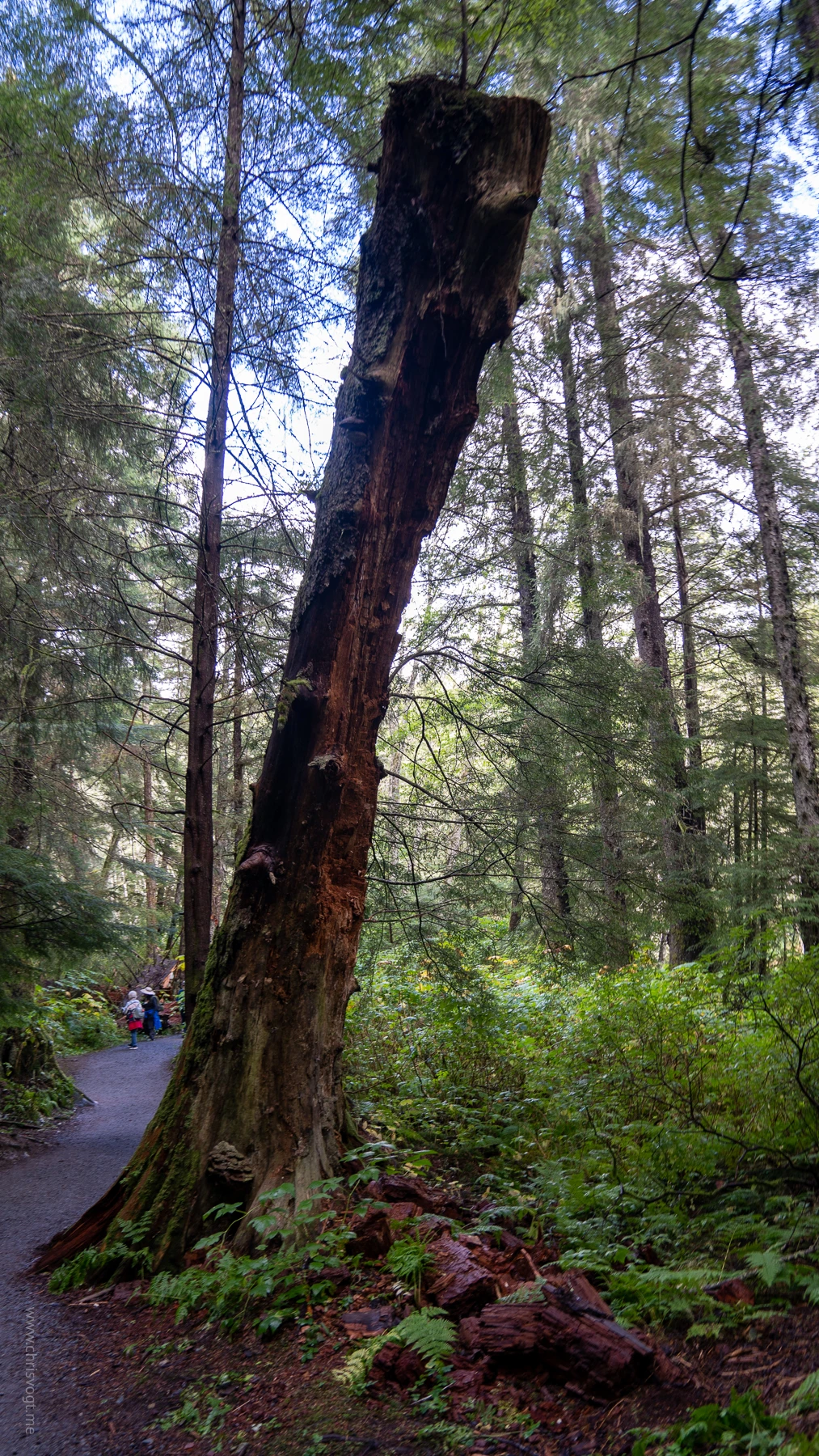 A totem on the Sitka Totem Trail