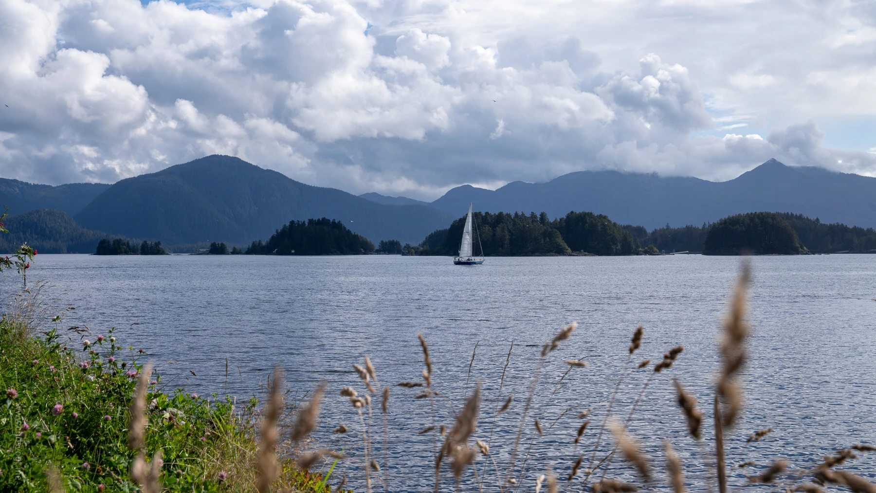 A sailboat in the eastern channel in Sitka