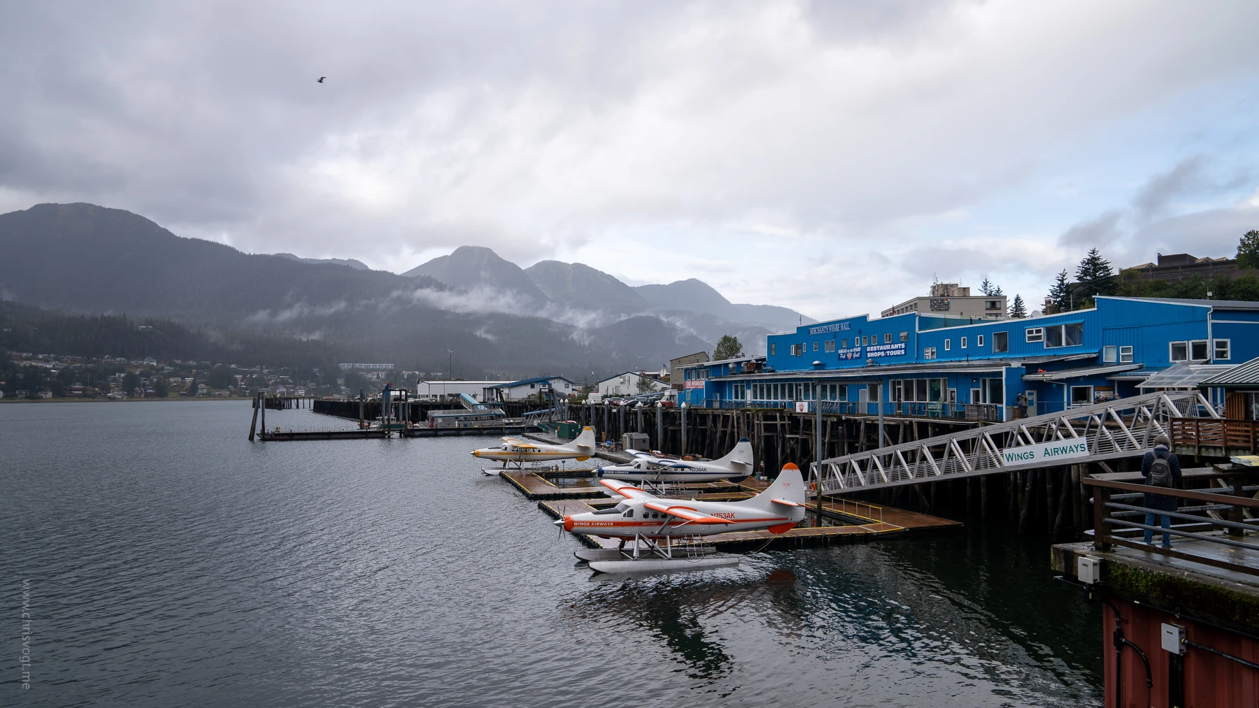 Sea planes parked in the water in Juneau