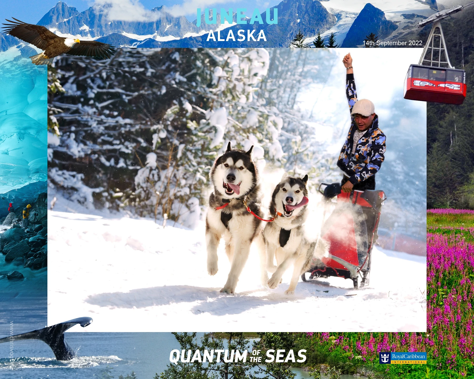 Me (Chris Vogt) mushing with huskies in Alaska... using a green screen on the Quantum of the Seas