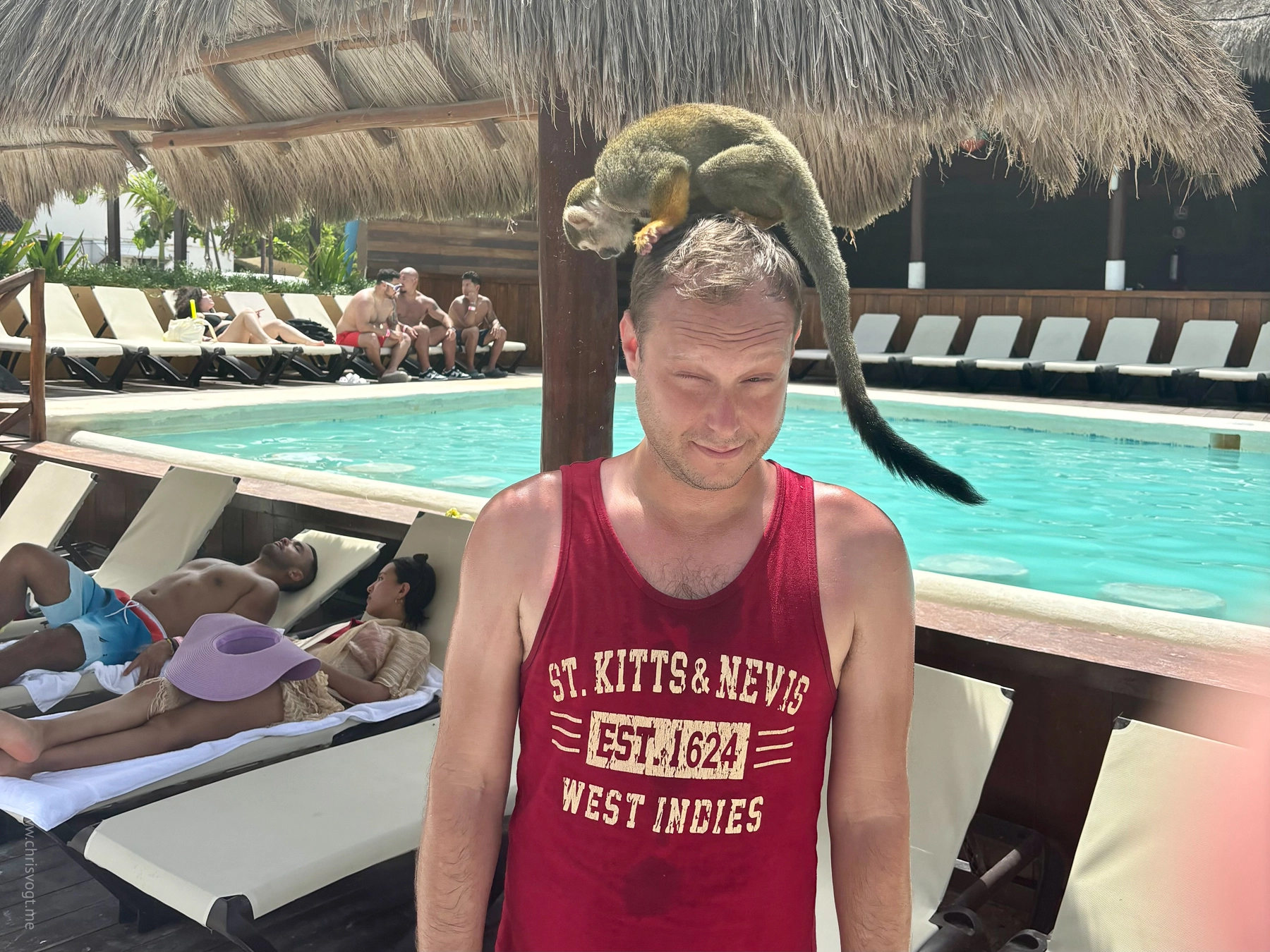 If it fits, it sits. Squirrel monkey on my head in Costa Maya, Mexico.