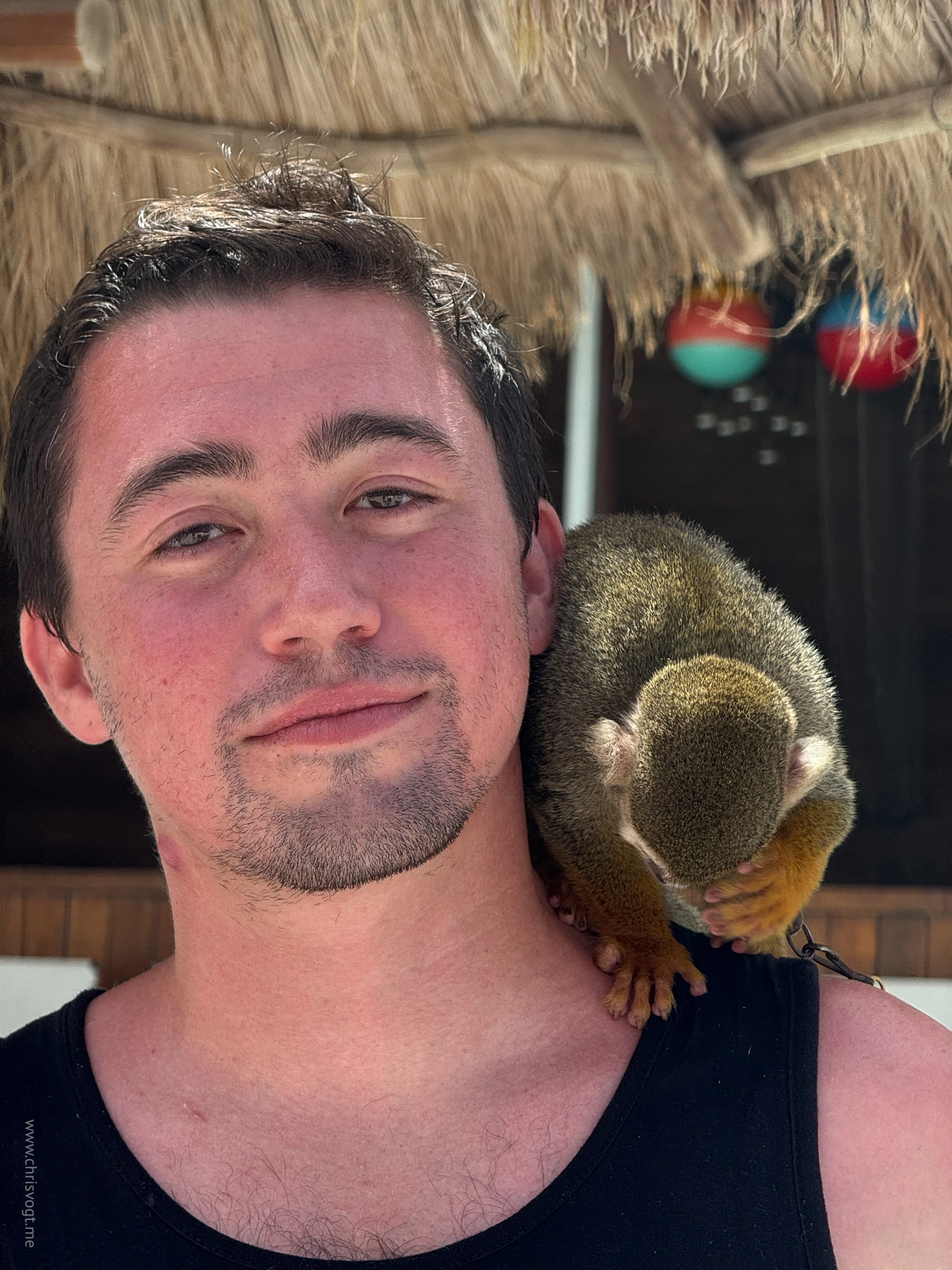 A squirrel monkey perches on Nick’s shoulder in Costa Maya, Mexico.
