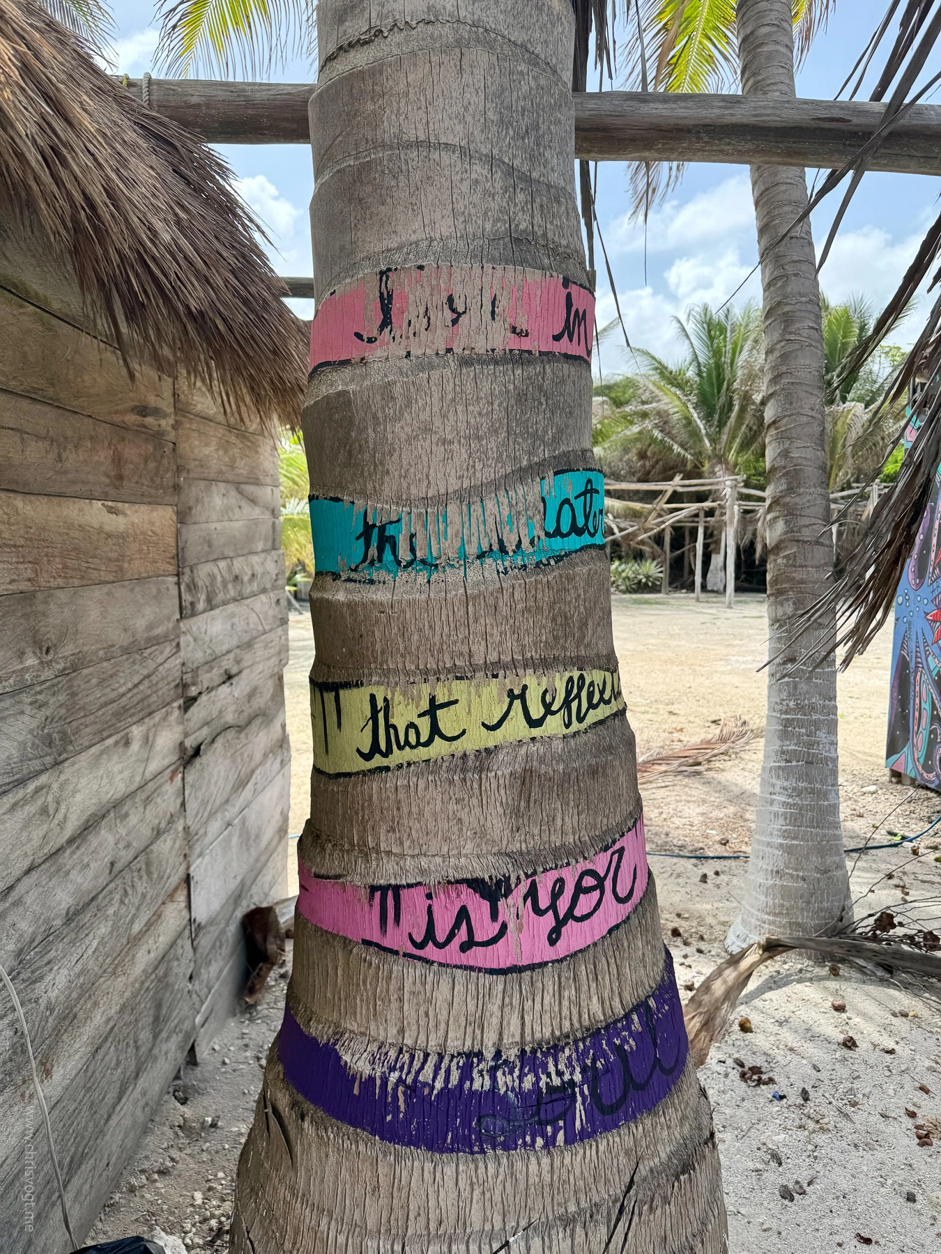 A tree wrapped in colorful art in Mahahual, Mexico.
