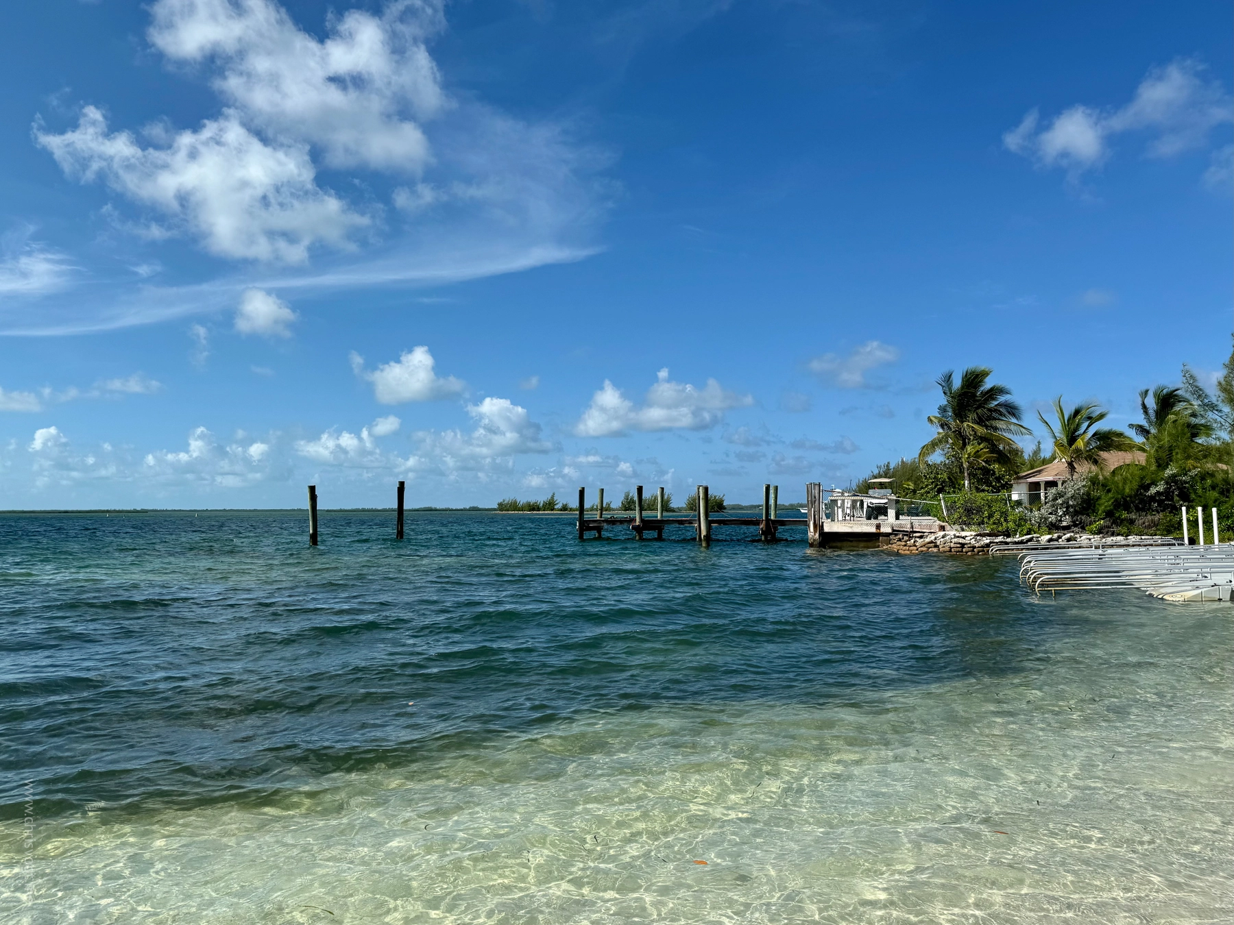 The beach at Bimini, Bahamas.