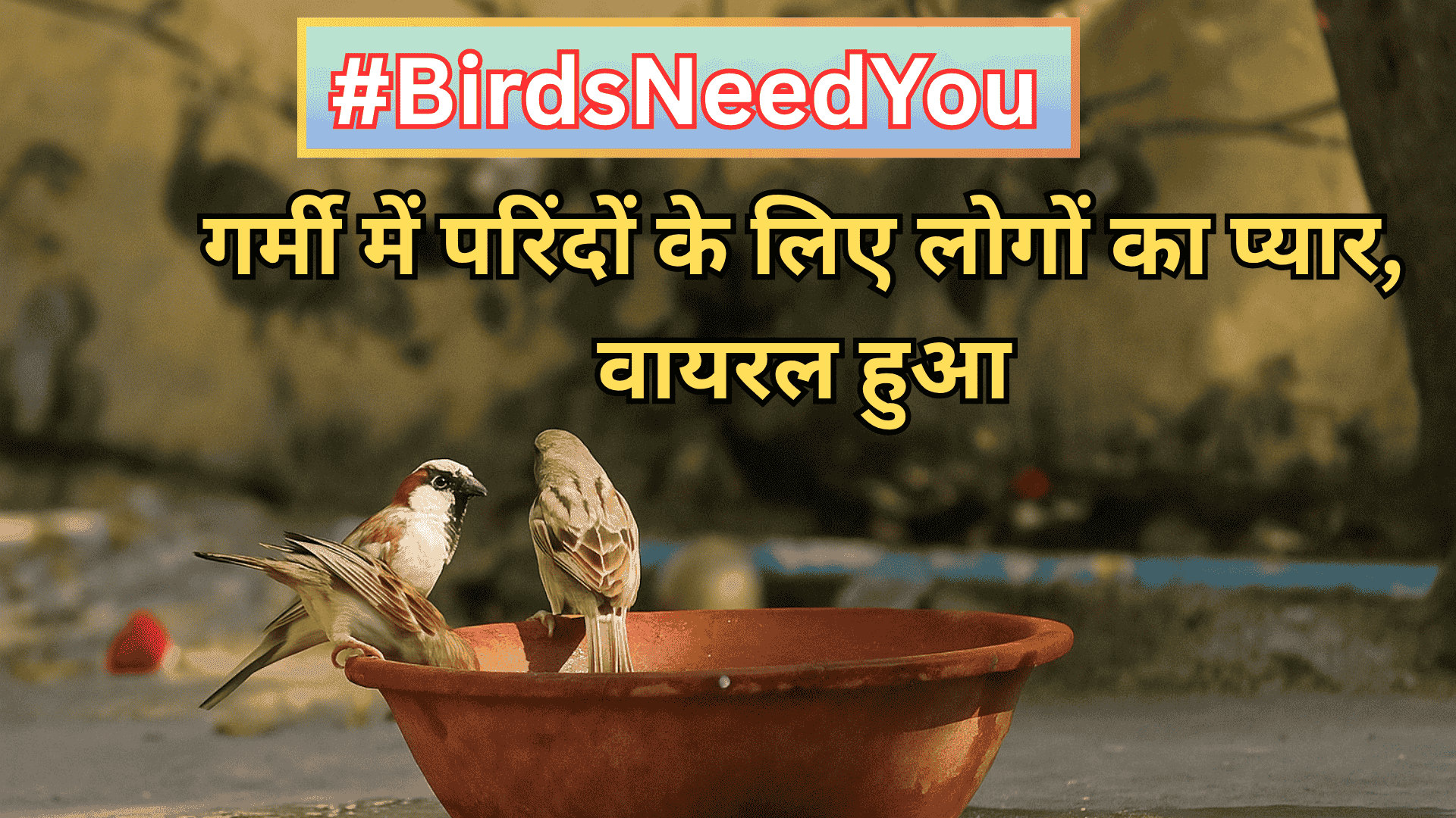 #BirdsNeedYou: लाखों लोग परिंदों को बचाने मैदान में उतरे