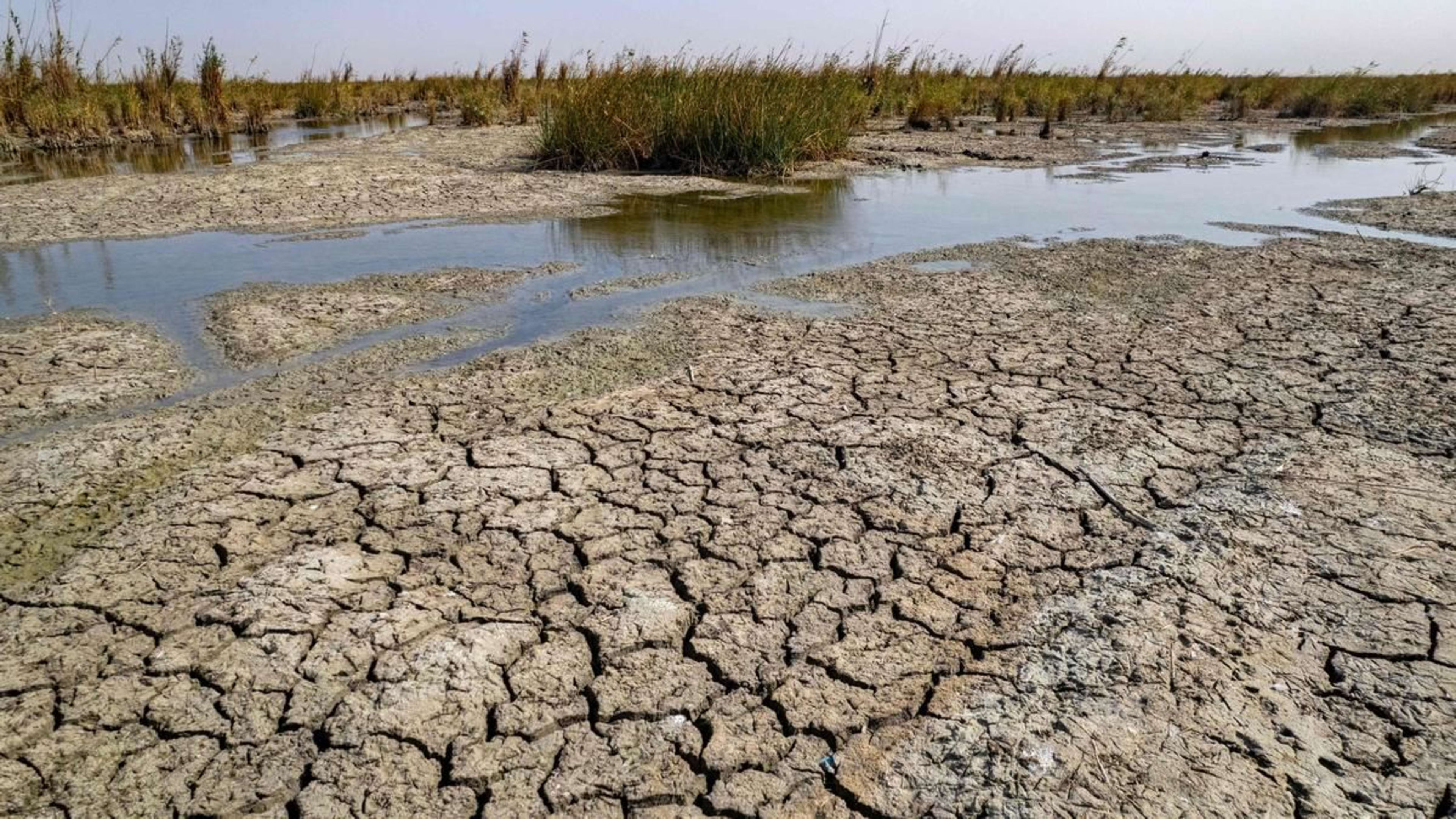 जलवायु परिवर्तन से बच्चों में बढ़ सकता है दस्त का खतरा, लाखों जिंदगियां दांव पर: नई स्टडी