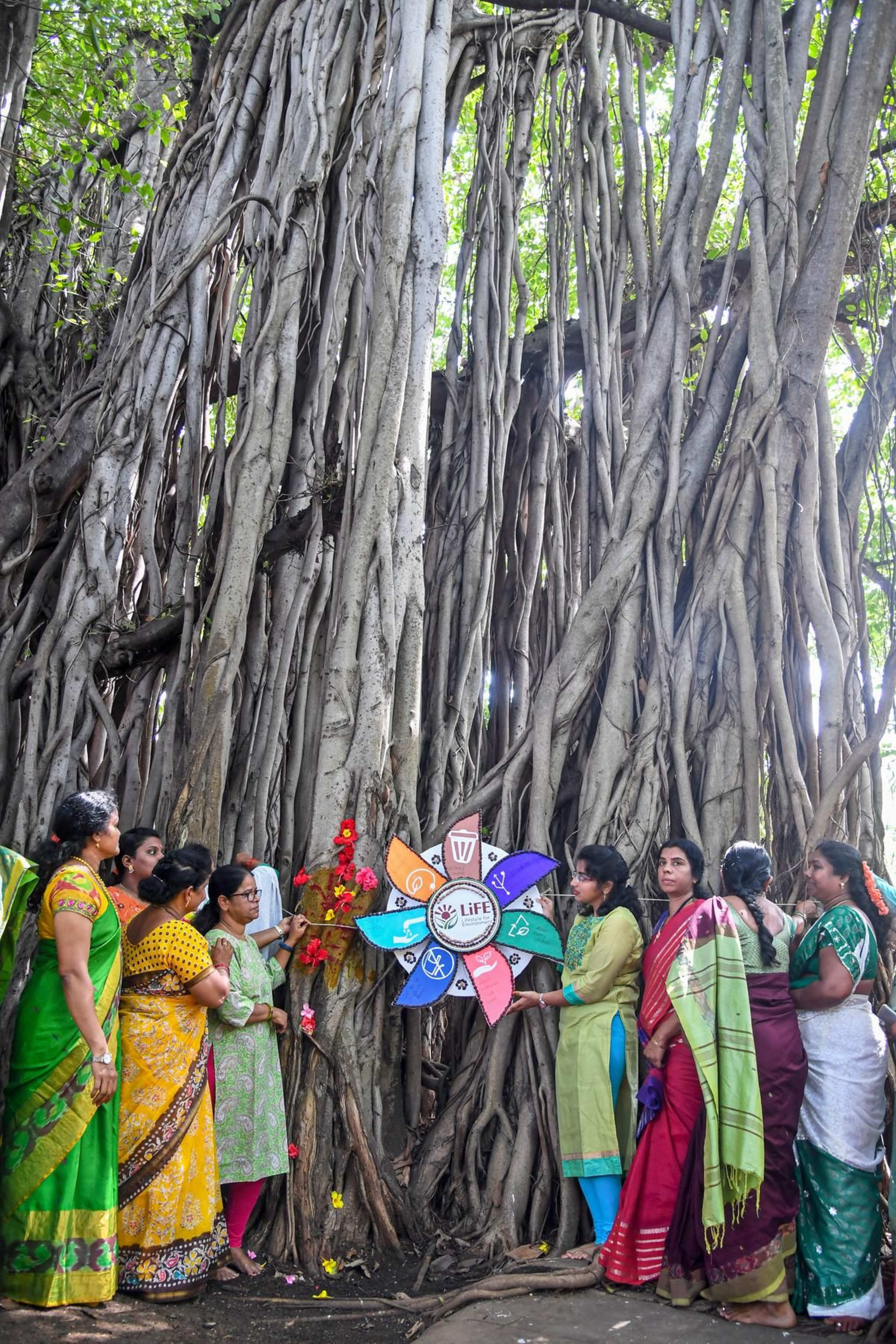 विशाखापत्तनम में अनूठी 'वृक्षबंधन' परंपरा: पेड़ों को बांधी जा रही राखी