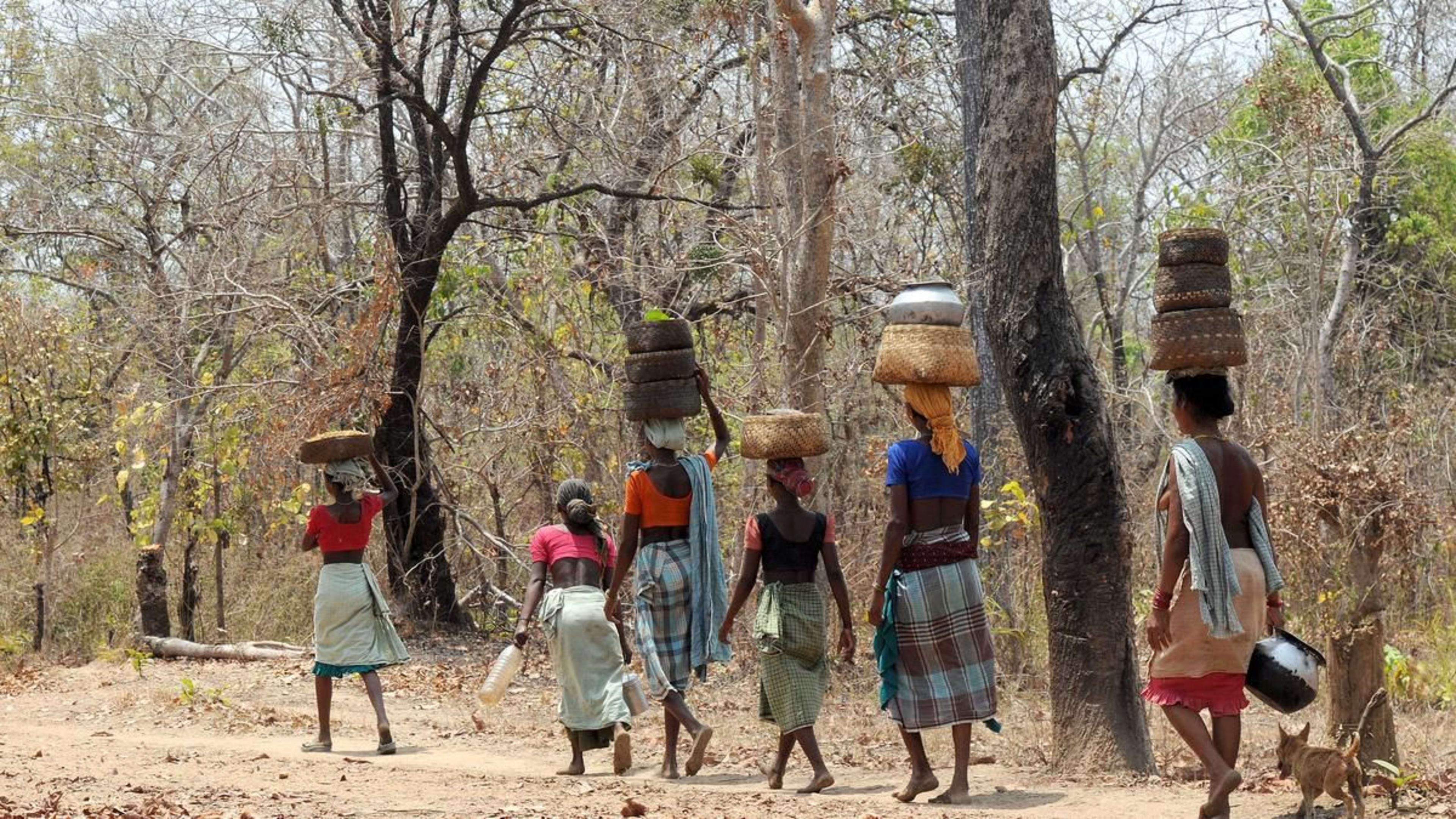 छत्तीसगढ़ में 'गायब' हुए हजारों वन अधिकार पट्टे