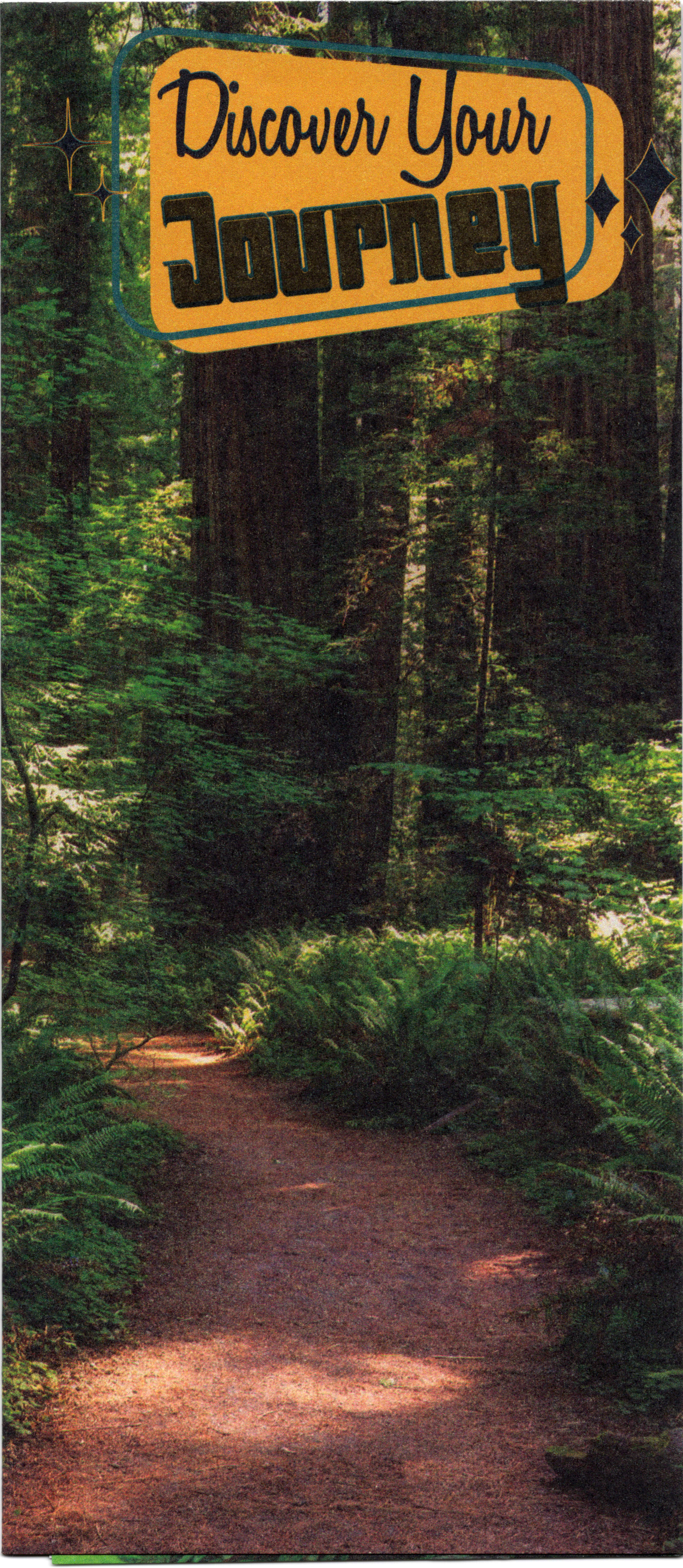  A brochure cover featuring a sunlit path winding through a dense redwood forest, with a retro-style yellow badge at the top reading "Discover Your Journey."