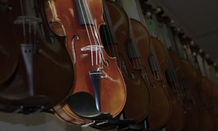 Accesorios Para El Violin Deviolines