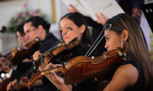 Deviolines | Deviolines