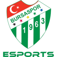 Bursaspor Academy