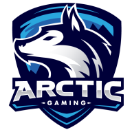 Arctic Gaming