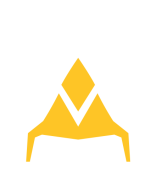 Team Vitality