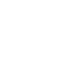 SK Gaming