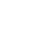 The Black Lotus