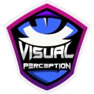 Visual Perception