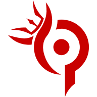Team Paradox